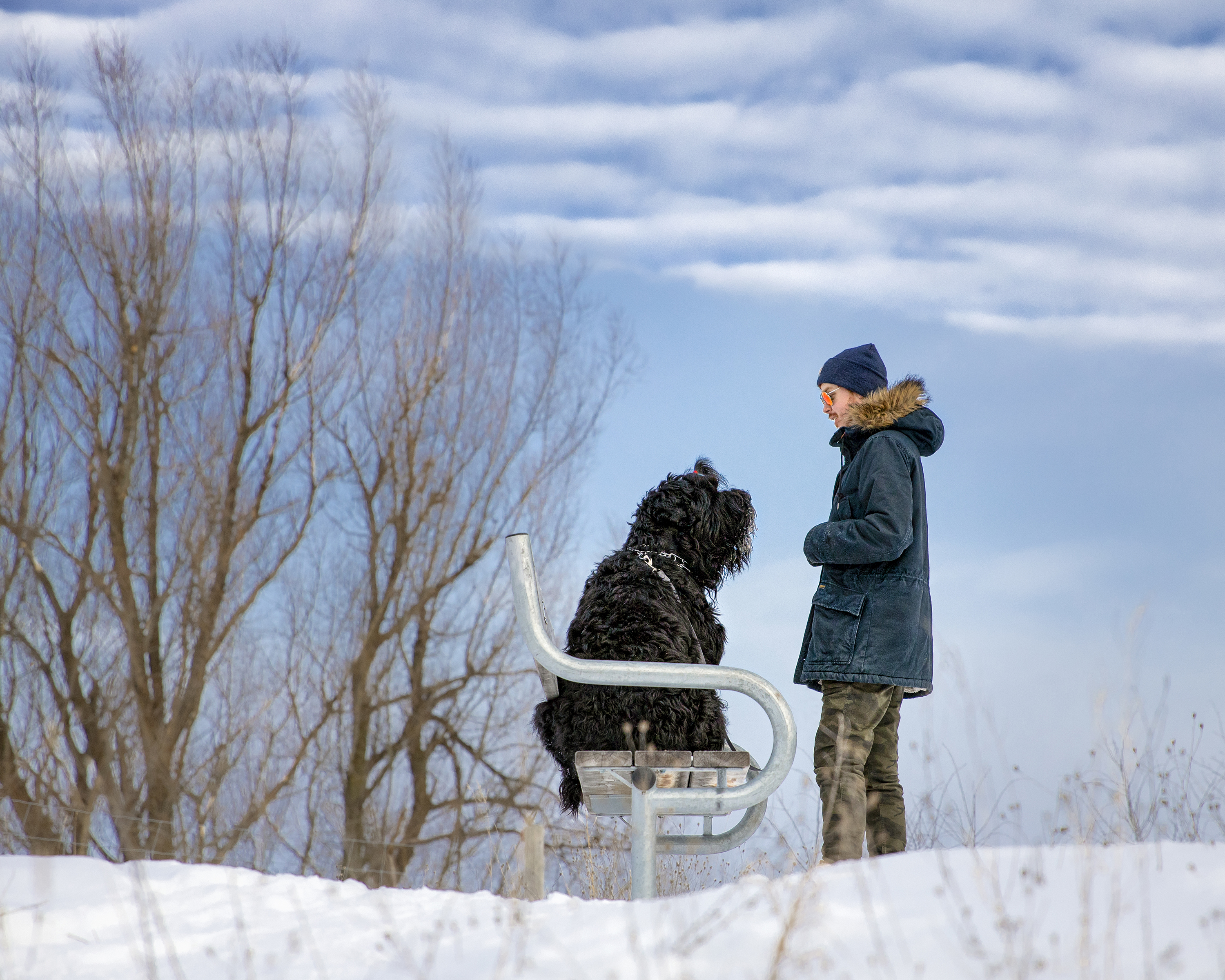 Slideshow sample 19